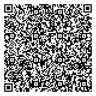 vCard 79299731730