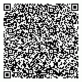 vCard 79299731738