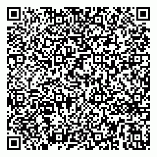 vCard 79299731776