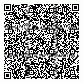vCard 79299731825