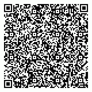 vCard 79299731839