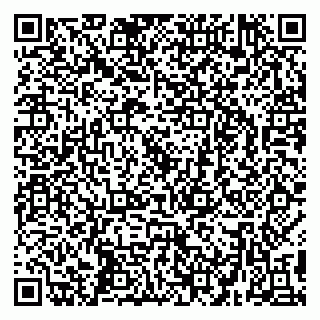 vCard 79299731893