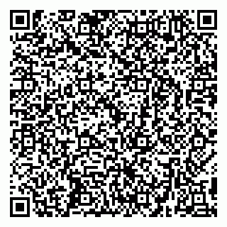vCard 79299731894
