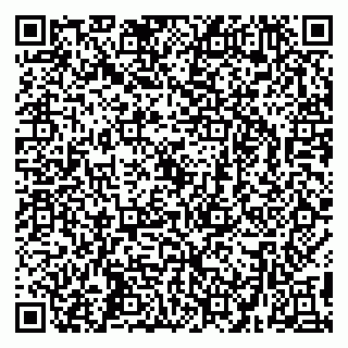 vCard 79299731895