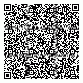 vCard 79299731904