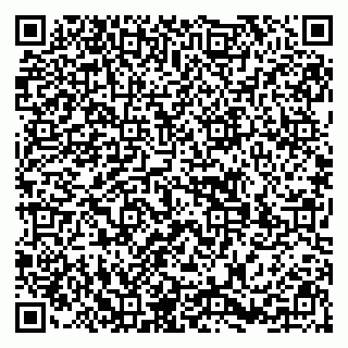vCard 79299731929