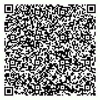 vCard 79299731965