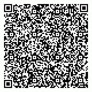 vCard 79299731969