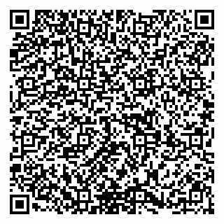 vCard 79299731987