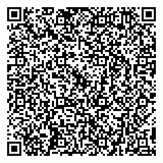 vCard 79299732000