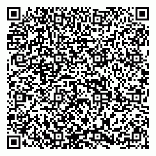 vCard 79299833885