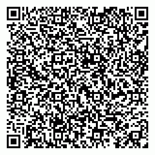vCard 79299835633