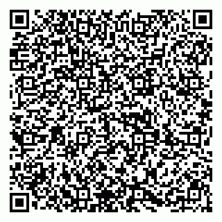 vCard 79299872095