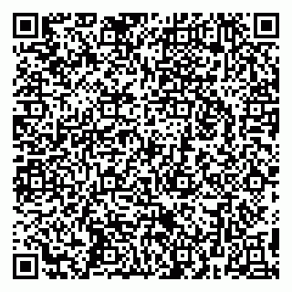 vCard 79299872385