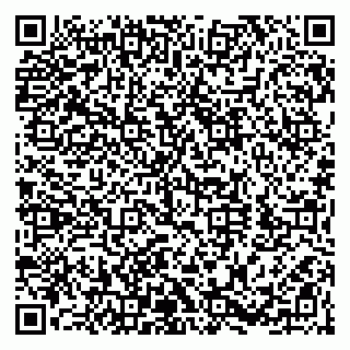 vCard 79300053039