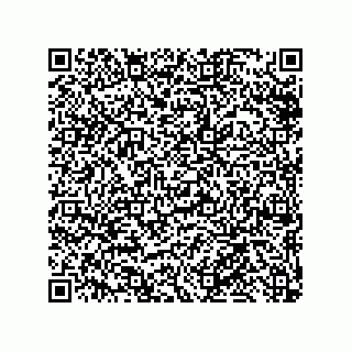 vCard 79300060133