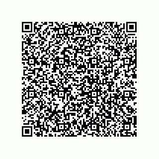 vCard 79300060153