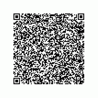vCard 79300060207