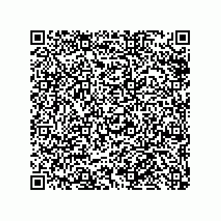 vCard 79300060233