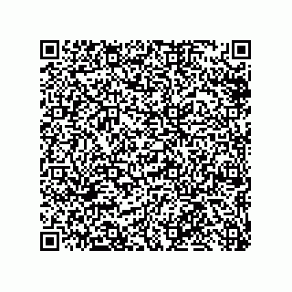 vCard 79300060335