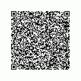 vCard 79300060385