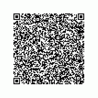 vCard 79300060387