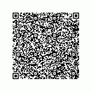 vCard 79300063538