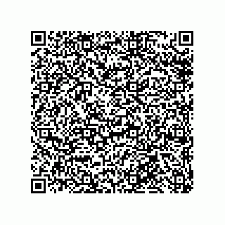 vCard 79300063581