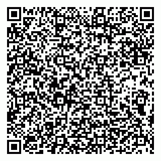 vCard 79300140038