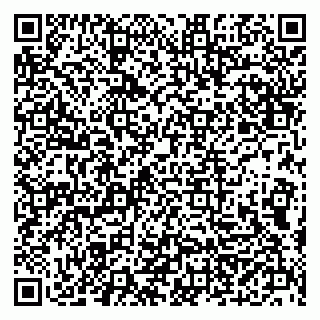 vCard 79300140039