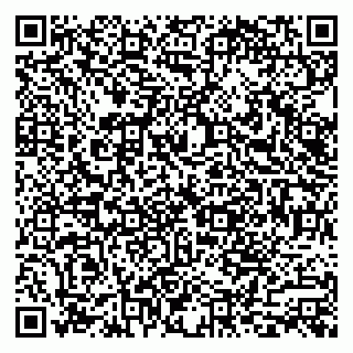 vCard 79300300215