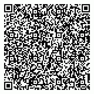 vCard 79300340539