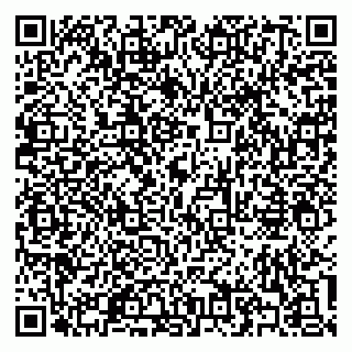 vCard 79300341181