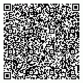vCard 79300341339