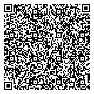 vCard 79300341539