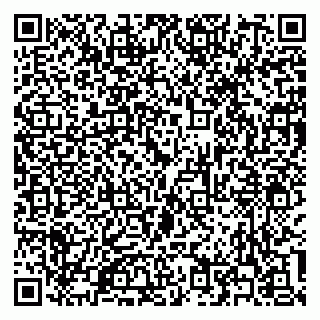 vCard 79300342739