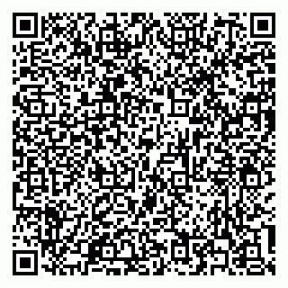vCard 79300342839