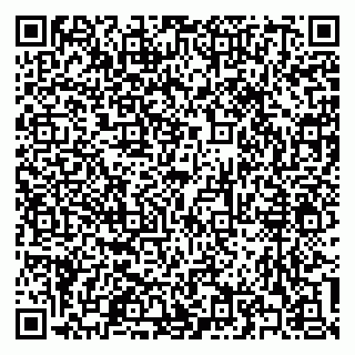 vCard 79300344727