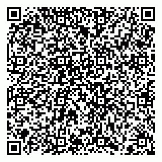 vCard 79300345321