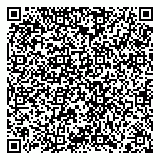 vCard 79300345331