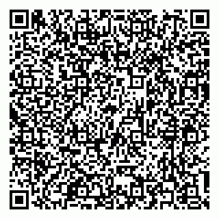 vCard 79300346331