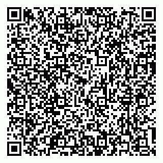vCard 79300347331