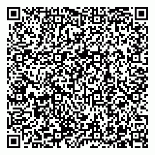 vCard 79300348153