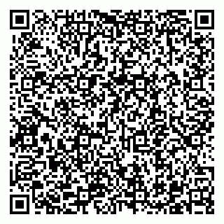 vCard 79300349529