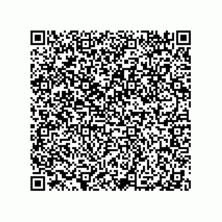 vCard 79300400068