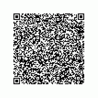 vCard 79300400081
