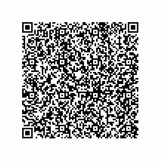 vCard 79300400295