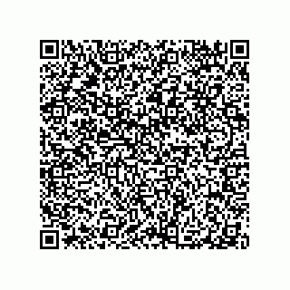 vCard 79300400318