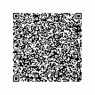 vCard 79300400339