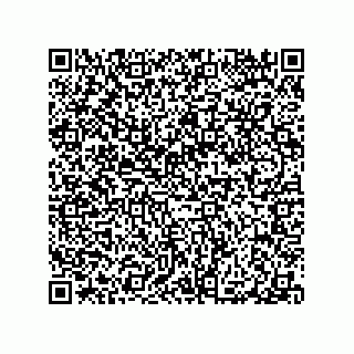 vCard 79300400385